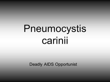 Pneumocystis carinii Deadly AIDS Opportunist. Pneumocystis carinii pneumonitis (PCP) is a common opportunistic disease that occurs almost exclusively.