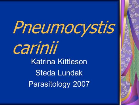 Pneumocystis carinii Katrina Kittleson Steda Lundak Parasitology 2007.
