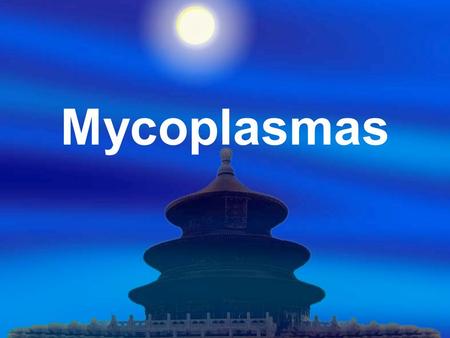 Mycoplasmas.  A group of the smallest organisms that can be free-living in nature,  Pass bacterial filter and also grow on laboratory media. More than.
