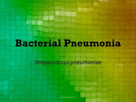 Bacterial Pneumonia Streptococcus pneumoniae. Streptococcus isn’t a new bacteria. 1881 – first isolated and grown by Louis Pasteur, and then demonstrated.