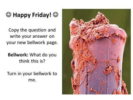 Happy Friday! Copy the question and write your answer on your new bellwork page. Bellwork: What do you think this is? Turn in your bellwork to me.