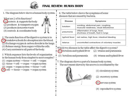 FINAL REVIEW: HUMAN BODY