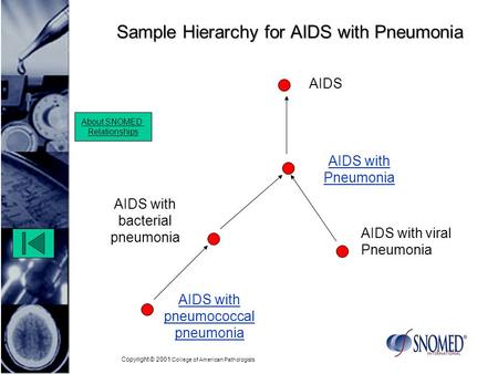 Copyright © 2001 College of American Pathologists Sample Hierarchy for AIDS with Pneumonia AIDS with bacterial pneumonia AIDS with viral Pneumonia About.