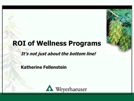 ROI of Wellness Programs It’s not just about the bottom line! Katherine Fellenstein.