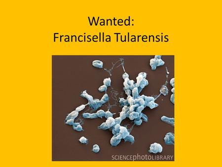 Wanted: Francisella Tularensis. Description Aerobic Non-motile Non sporing Named after Dr. Eward Francis Code name Rabbit’s fever.