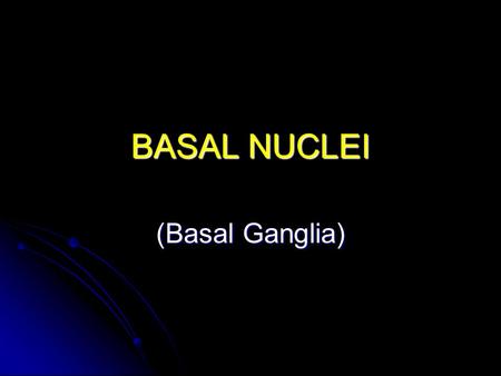 BASAL NUCLEI (Basal Ganglia).
