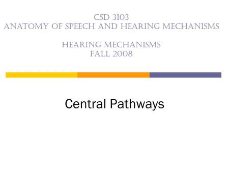 CSD 3103 anatomy of speech and hearing mechanisms Hearing mechanisms Fall 2008 Central Pathways.