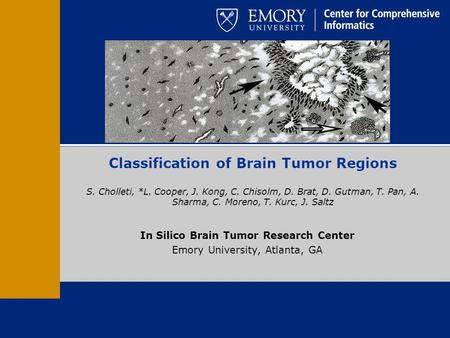 In Silico Brain Tumor Research Center Emory University, Atlanta, GA Classification of Brain Tumor Regions S. Cholleti, *L. Cooper, J. Kong, C. Chisolm,
