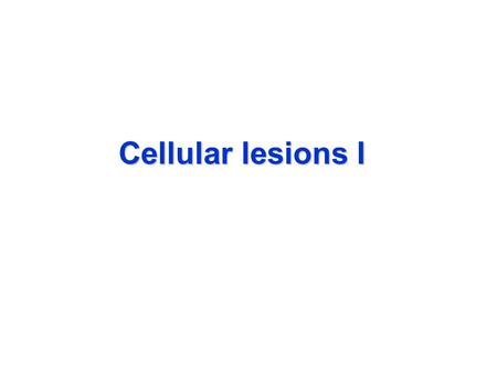 Cellular lesions I.