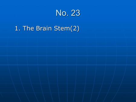 No. 23 1. The Brain Stem(2).