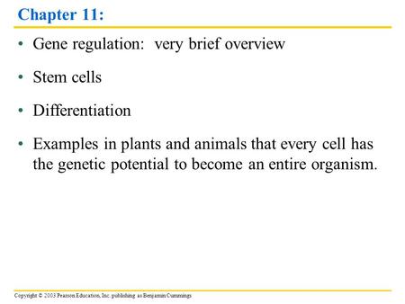 Copyright © 2003 Pearson Education, Inc. publishing as Benjamin Cummings Chapter 11: Gene regulation: very brief overview Stem cells Differentiation Examples.