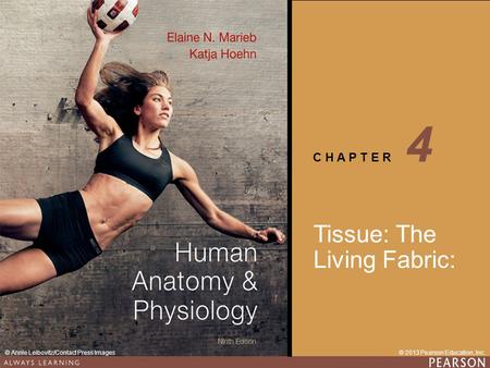 4 Tissue: The Living Fabric:.