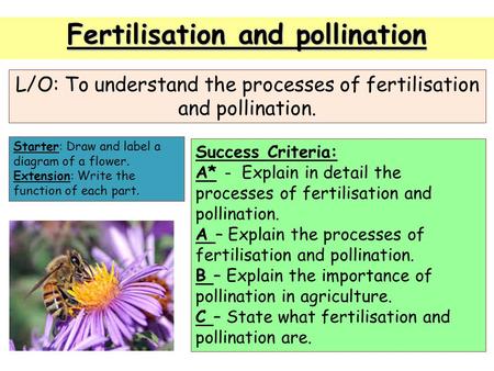 Fertilisation and pollination