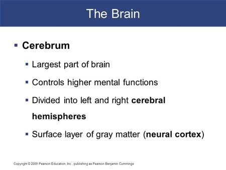 Copyright © 2009 Pearson Education, Inc., publishing as Pearson Benjamin Cummings The Brain  Cerebrum  Largest part of brain  Controls higher mental.