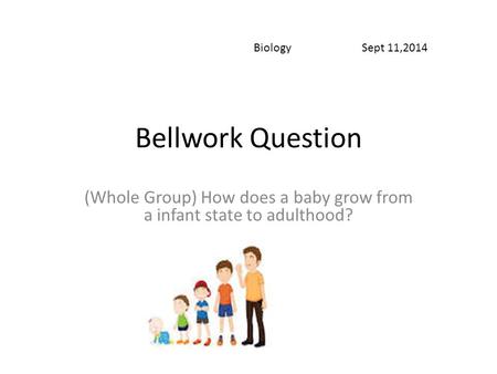 (Whole Group) How does a baby grow from a infant state to adulthood?
