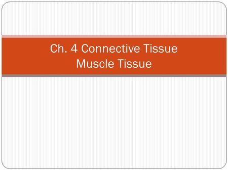 Ch. 4 Connective Tissue Muscle Tissue. Figure 4-18 Muscle Tissue Skeletal Muscle Tissue Cardiac Muscle Tissue Smooth Muscle Tissue Smooth muscle Cardiac.