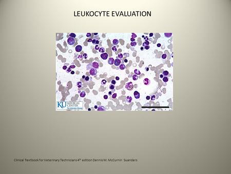 LEUKOCYTE EVALUATION Clinical Textbook for Veterinary Technicians 4th edition Dennis M. McCurnin Suanders.