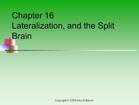 Copyright © 2009 Allyn & Bacon Chapter 16 Lateralization, and the Split Brain.