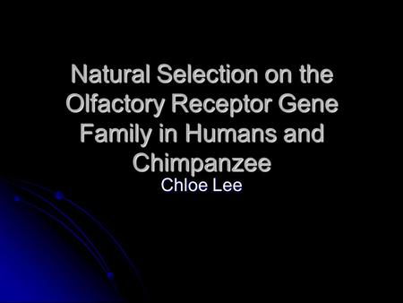 Natural Selection on the Olfactory Receptor Gene Family in Humans and Chimpanzee Chloe Lee.
