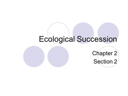 Ecological Succession Chapter 2 Section 2. Bell Work Imagine you have been hired to oversee the maintenance of a forest.  How would you evaluate the.
