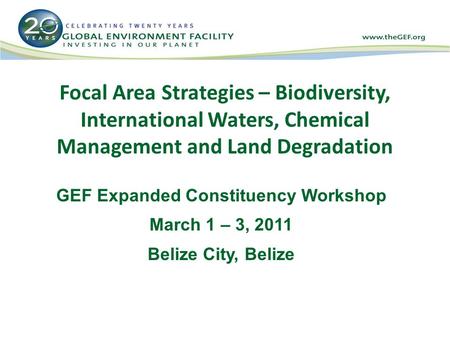 Focal Area Strategies – Biodiversity, International Waters, Chemical Management and Land Degradation GEF Expanded Constituency Workshop March 1 – 3, 2011.