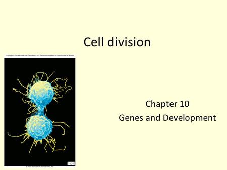 Cell division Chapter 10 Genes and Development. Fig. 10.1-1 Copyright © The McGraw-Hill Companies, Inc. Permission required for reproduction or display.