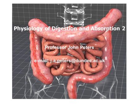 Physiology of Digestion and Absorption 2 Professor John Peters