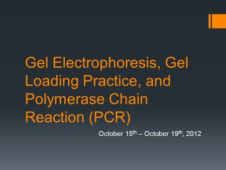 Gel Electrophoresis, Gel Loading Practice, and Polymerase Chain Reaction (PCR) October 15 th – October 19 th, 2012.