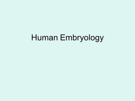 Human Embryology.