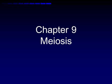 Chapter 9 Meiosis.