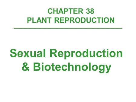 CHAPTER 38 PLANT REPRODUCTION Sexual Reproduction & Biotechnology