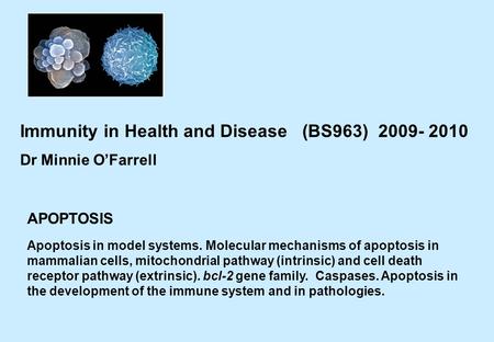 APOPTOSIS Immunity in Health and Disease (BS963) 2009- 2010 Dr Minnie O’Farrell Apoptosis in model systems. Molecular mechanisms of apoptosis in mammalian.
