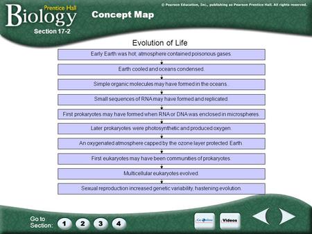 Concept Map Evolution of Life Section 17-2