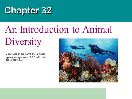 Chapter 32 An Introduction to Animal Diversity Estimates of the number of animal species range from 10-20 million to 100-200 million.
