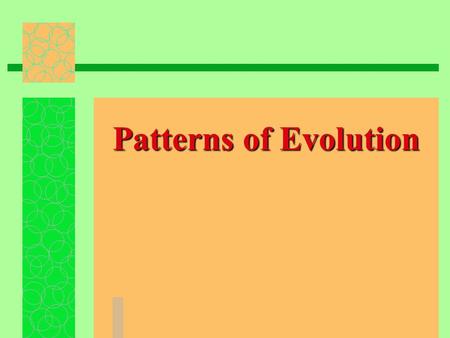 Patterns of Evolution. Macroevolution/Microevolution allele gene  Both involve changes in allele frequencies in gene pools same basic  Both work through.