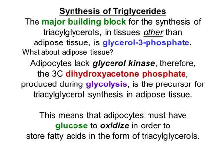Synthesis of Triglycerides