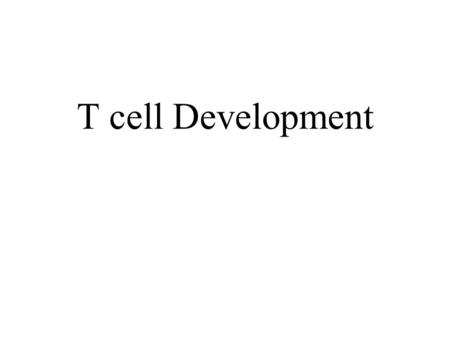 T cell Development. Basic Principles of T Cell Development Each cell randomly rearranges a specific TCR. The presence of the pMHC epitope, stage of development.