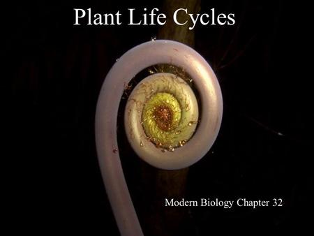 Modern Biology Chapter 32