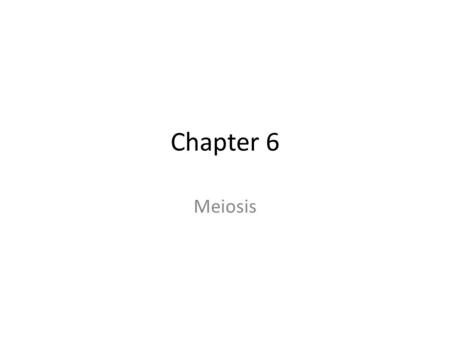 Chapter 6 Meiosis.