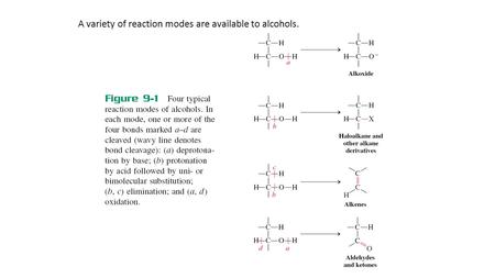 A variety of reaction modes are available to alcohols.