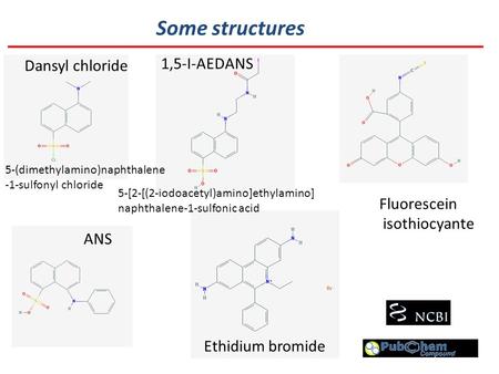 Some structures Dansyl chloride 1,5-I-AEDANS Fluorescein isothiocyante ANS Ethidium bromide 5-[2-[(2-iodoacetyl)amino]ethylamino] naphthalene-1-sulfonic.