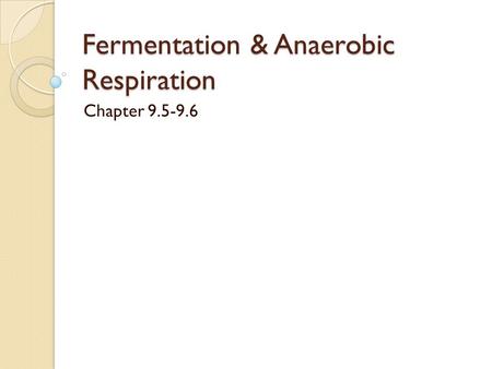 Fermentation & Anaerobic Respiration Chapter 9.5-9.6.
