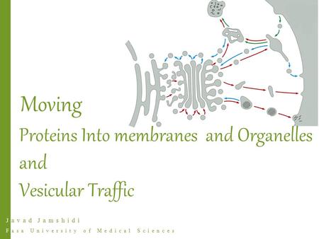 Javad Jamshidi Fasa University of Medical Sciences Proteins Into membranes and Organelles and Vesicular Traffic Moving.