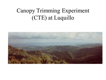 Canopy Trimming Experiment (CTE) at Luquillo. CTE Scientific Basis A result of the monitoring activities To simulate and increase the frequency of hurricanes.