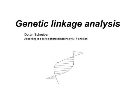 Genetic linkage analysis Dotan Schreiber According to a series of presentations by M. Fishelson.