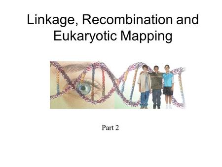 Linkage, Recombination and Eukaryotic Mapping Part 2.