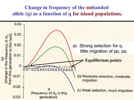 Change in frequency of the unbanded allele (q) as a function of q for island populations. Equilibrium points a)Strong selection for q, little migration.