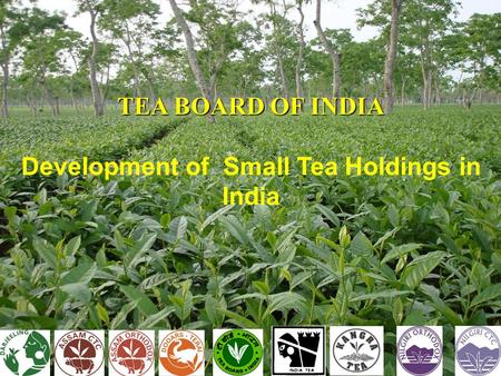 TEA BOARD OF INDIA Development of Small Tea Holdings in India.