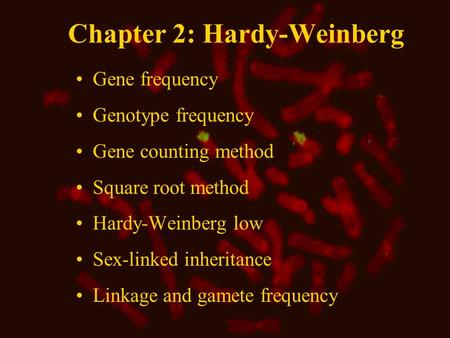Chapter 2: Hardy-Weinberg Gene frequency Genotype frequency Gene counting method Square root method Hardy-Weinberg low Sex-linked inheritance Linkage and.