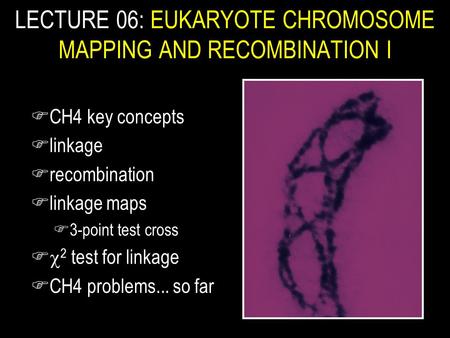FCH4 key concepts Flinkage Frecombination Flinkage maps F3-point test cross F  2 test for linkage FCH4 problems... so far LECTURE 06: EUKARYOTE CHROMOSOME.